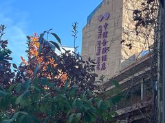 -北京中信金陵酒店