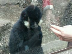 -昆明动物园