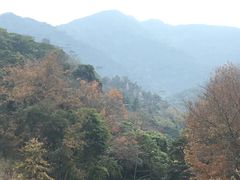 -广州市石门国家森林公园