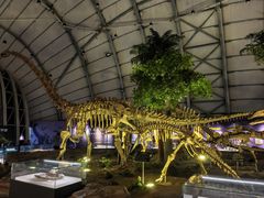 -辽宁古生物博物馆