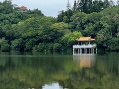 -深圳仙湖植物园