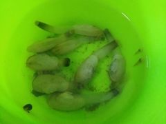 -在海一方公园