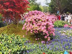 -荔香公园