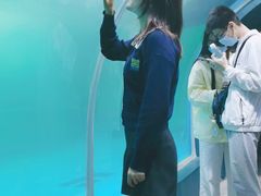 -青岛海底世界-水族馆