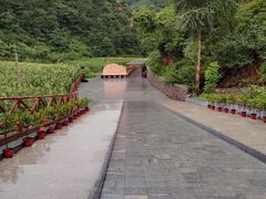 -九龙潭景区