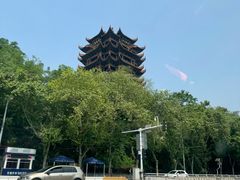-月湖风景区