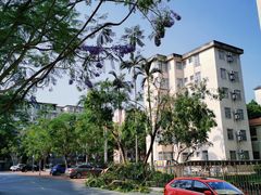-广西大学(大学东路校区)