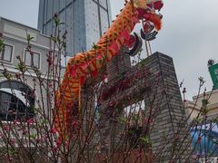 -越秀西湖花市(广州城市广场花卉店)