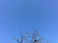 -牛背梁国家森林公园