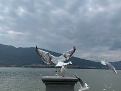 -海埂大坝