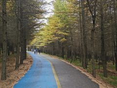 -红崖峡谷景区