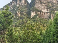 -重庆睡佛山森林公园