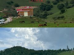 -关山草原