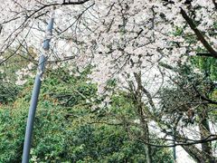 -杭州少年儿童公园