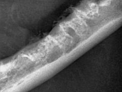 -惠康宠物医院(华能路店)