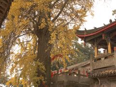 -金堂县云顶石城风景区