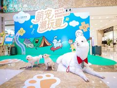 -茂业天地(华强北店)