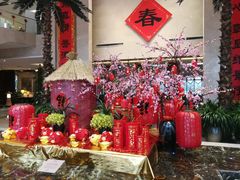 -常州环球恐龙城维景国际大酒店