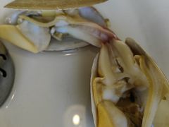 象拔蚌-凯华海鲜火锅·传承三十六年