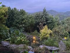 -腾冲洞山温泉村