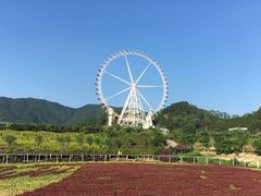 -望天湖