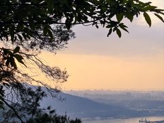 -铁山坪森林公园