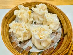 -真真老老(月河花鸟市场店)