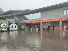 -都江堰中华大熊猫苑