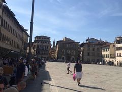 -圣母百花大教堂穹顶