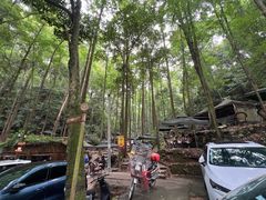 -凤栖山