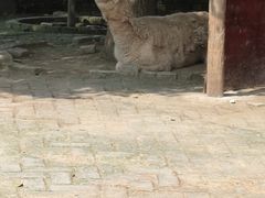 -武汉紫薇都市田园