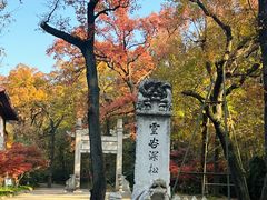 -灵谷景区