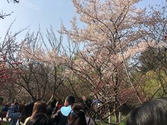 -西安青龙寺遗址景区