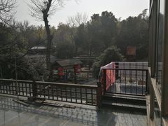 -张鸟园农家乐(张鸟园店)