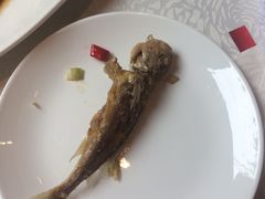 -旺顺阁海鲜广场(亚运村店)
