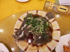 -鸿达渔港
