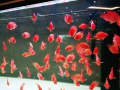 -趣陶陶艺手工坊(新世界百货重庆店)