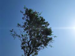 -日照灯塔风景区