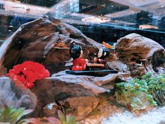 -红辣椒·川菜·火锅(大洋中心店)