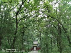 -武侯墓风景区