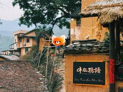 -杨家堂村