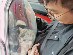 -宠颐生动物医院·小陆分院