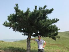 -恋山坝上草原
