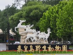 -秦皇岛野生动物园