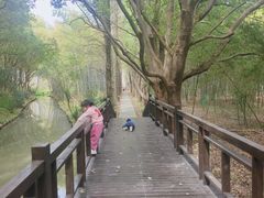 -同里国家湿地公园