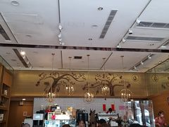 -Lex Coffee
