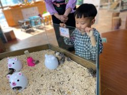 -未来动物城主题公园(正弘城店)