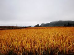 -贵州云顶草原民族风情园