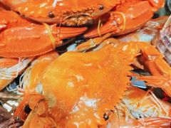 -四海蒸鲜蒸汽海鲜自助(北戴河店)