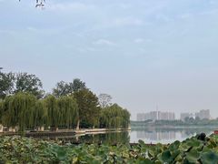 -星巴克臻选(济南恒隆店)